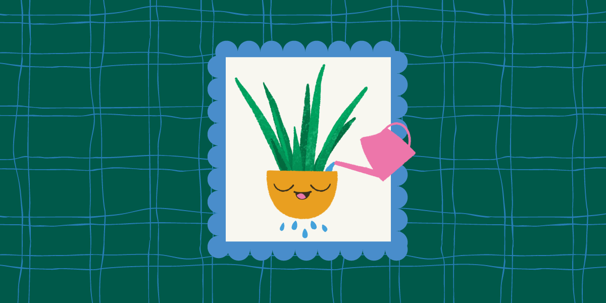 how to water your houseplant - plant pals