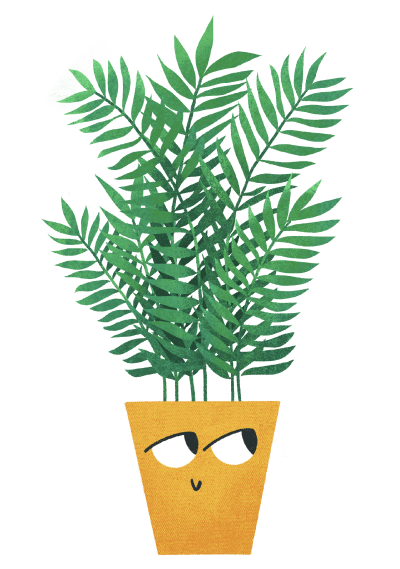 Plant Pals Parlour Palm Character Illustration