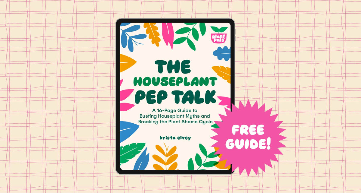 Plant Pals - Explore The Houseplant Pep Talk Free Guide 